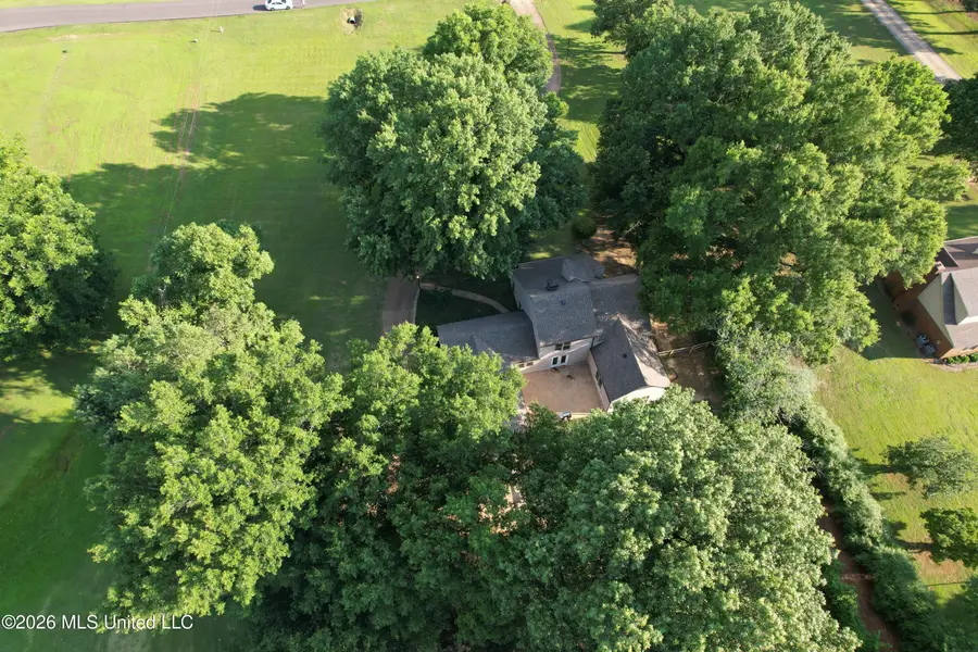 4480 Douglas Drive, Olive Branch, MS 38654 - #2