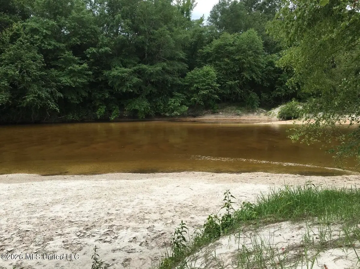 0 City Bridge Road, Perkinston, MS 39573 - #1