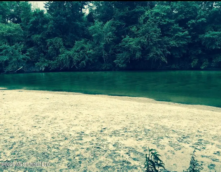 0 City Bridge Road, Perkinston, MS 39573 - #2