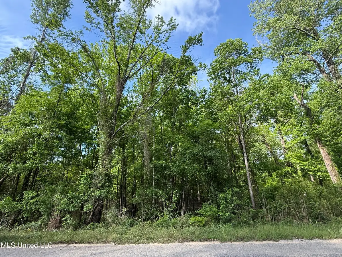 Nhn Maple Dr, Lucedale, MS 39452 - #1