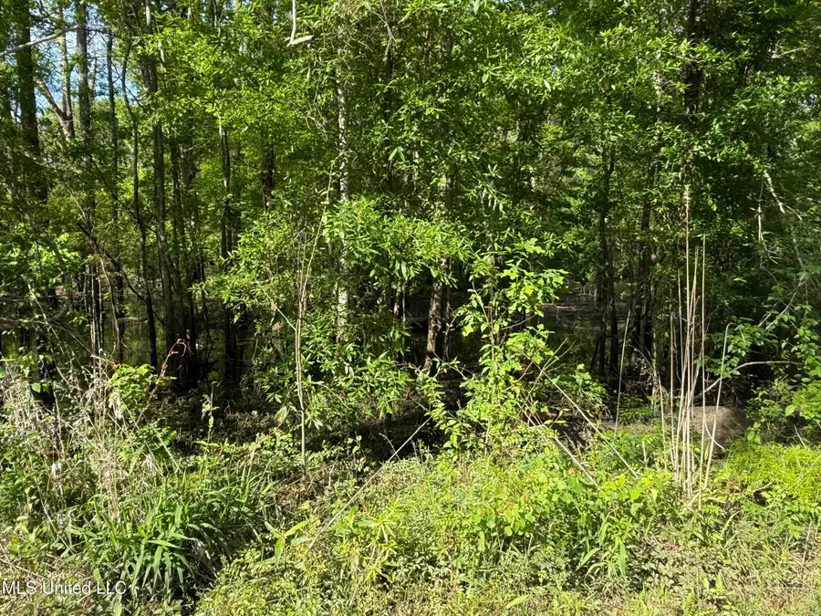 Nhn Maple Dr, Lucedale, MS 39452 - #2