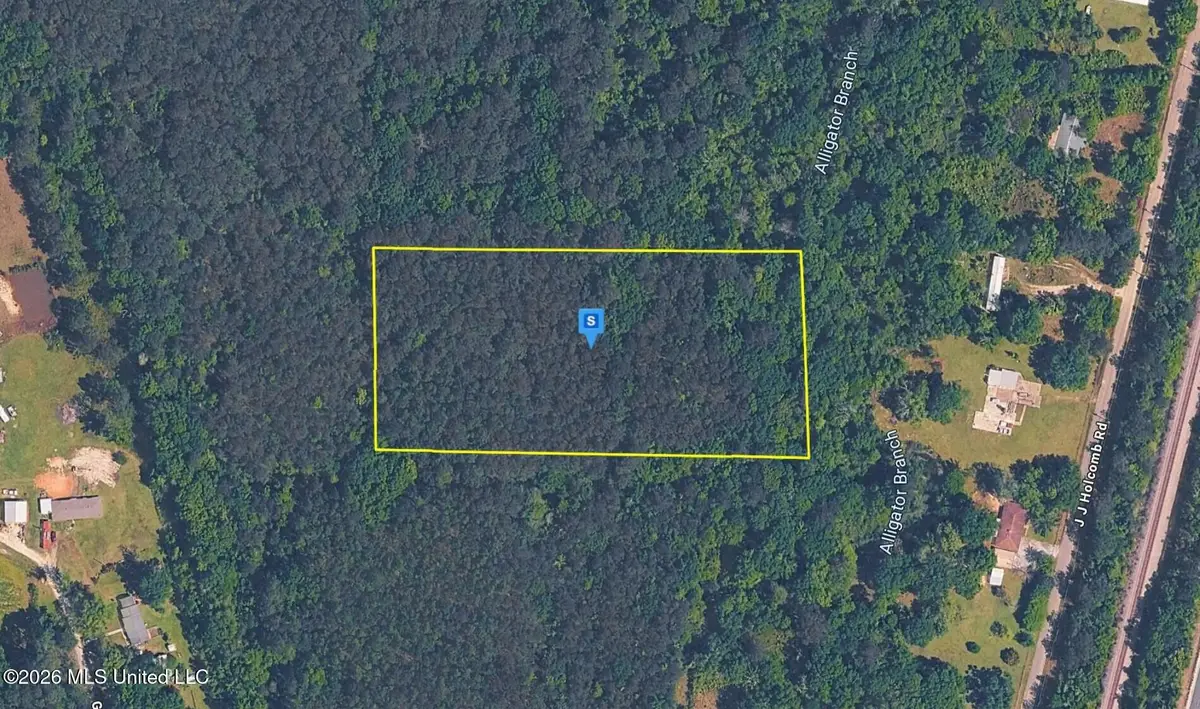 265 J J Holcomb Road, Picayune, MS 39466 - #1