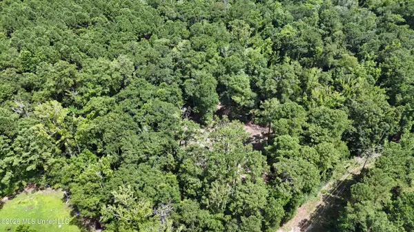Old Dees Drive, Vancleave, MS 39565