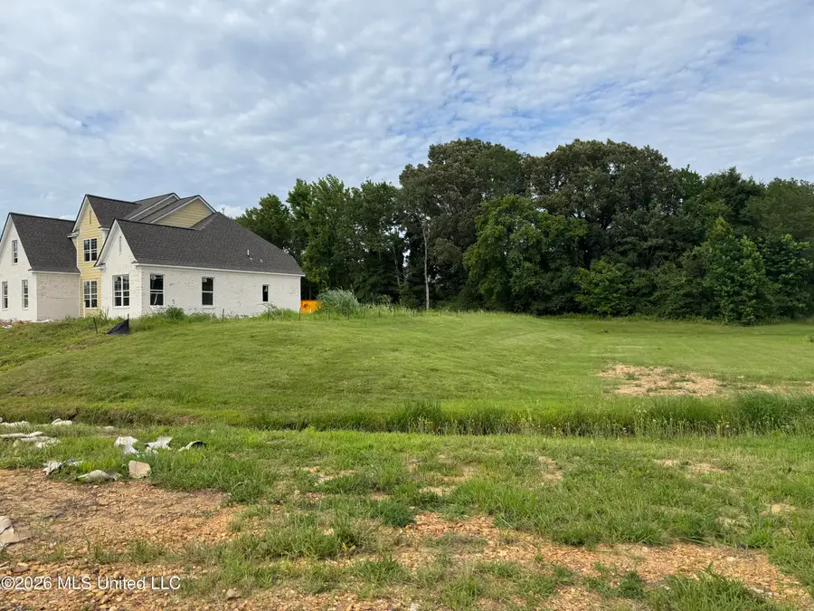 7398 Newbury Drive, Olive Branch, MS 38654 - #2
