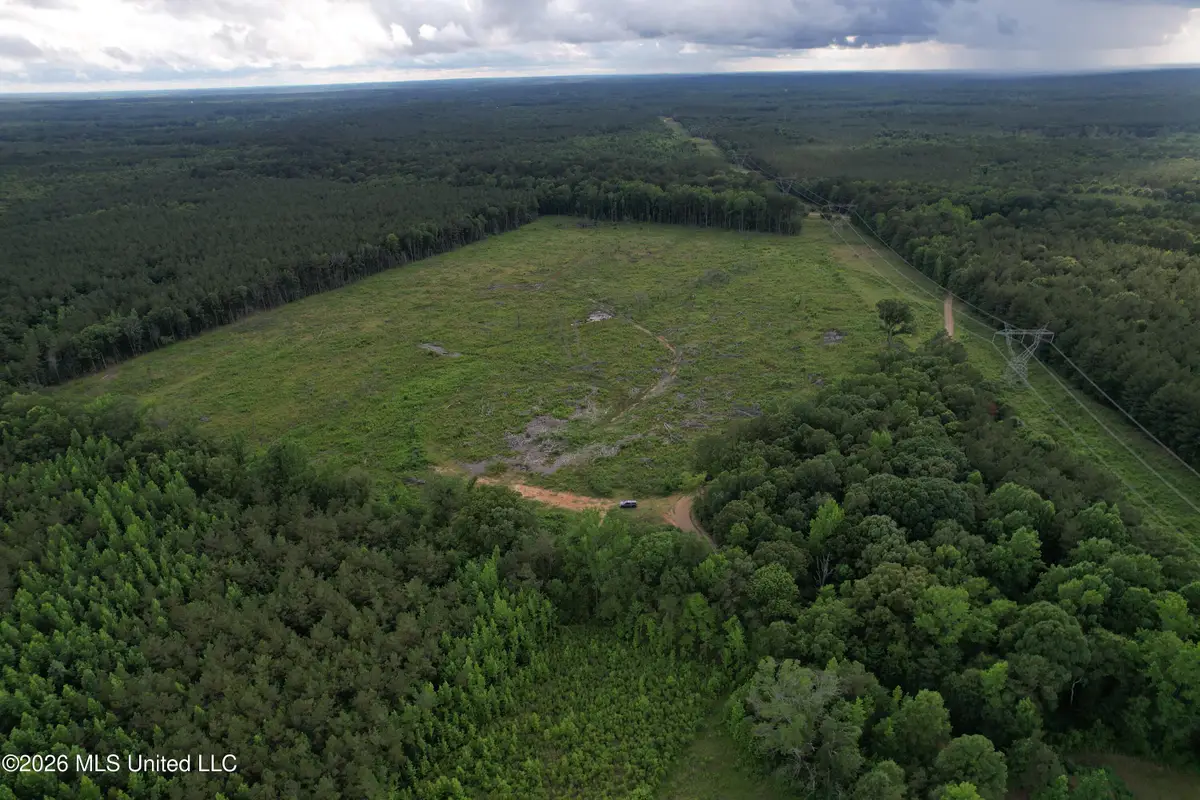 Seals Road, Weir, MS 39772 - #1