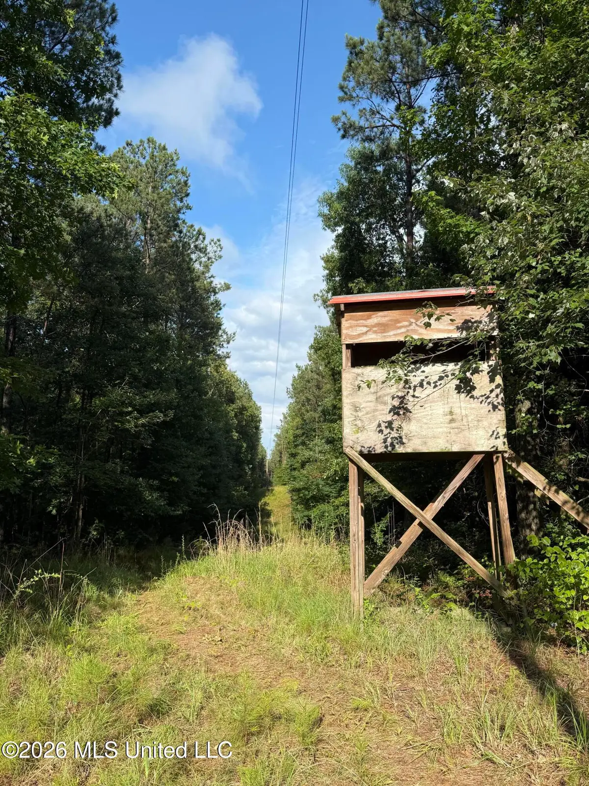 Co Rd 2136, McCool, MS 39108 - #1