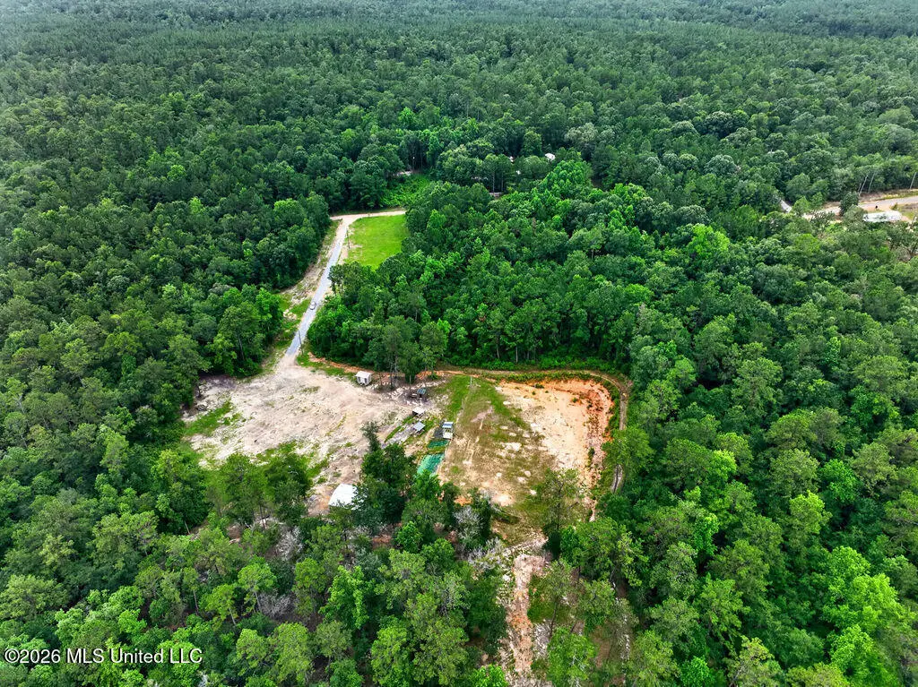 94 Desoto Road, McHenry, MS 39561 - #1