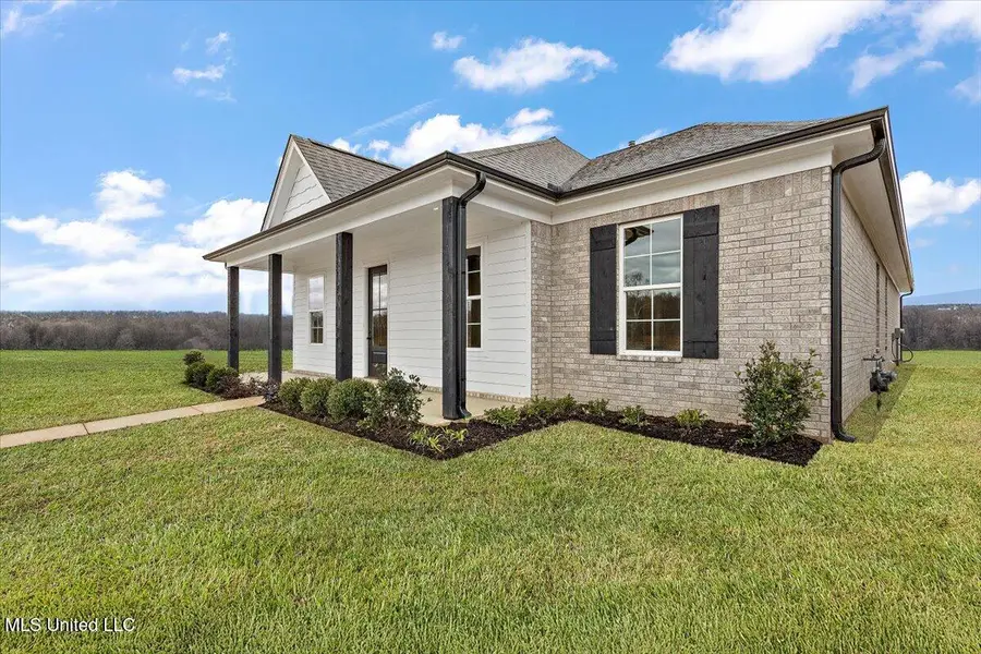 490 Bolivar Drive, Nesbit, MS 38651 - #2