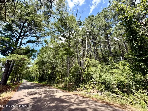 Xxx W Lincoln Drive, Smithdale, MS 39664