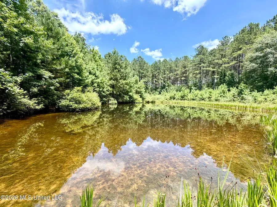 Xxx W Lincoln Drive, Smithdale, MS 39664 - #2