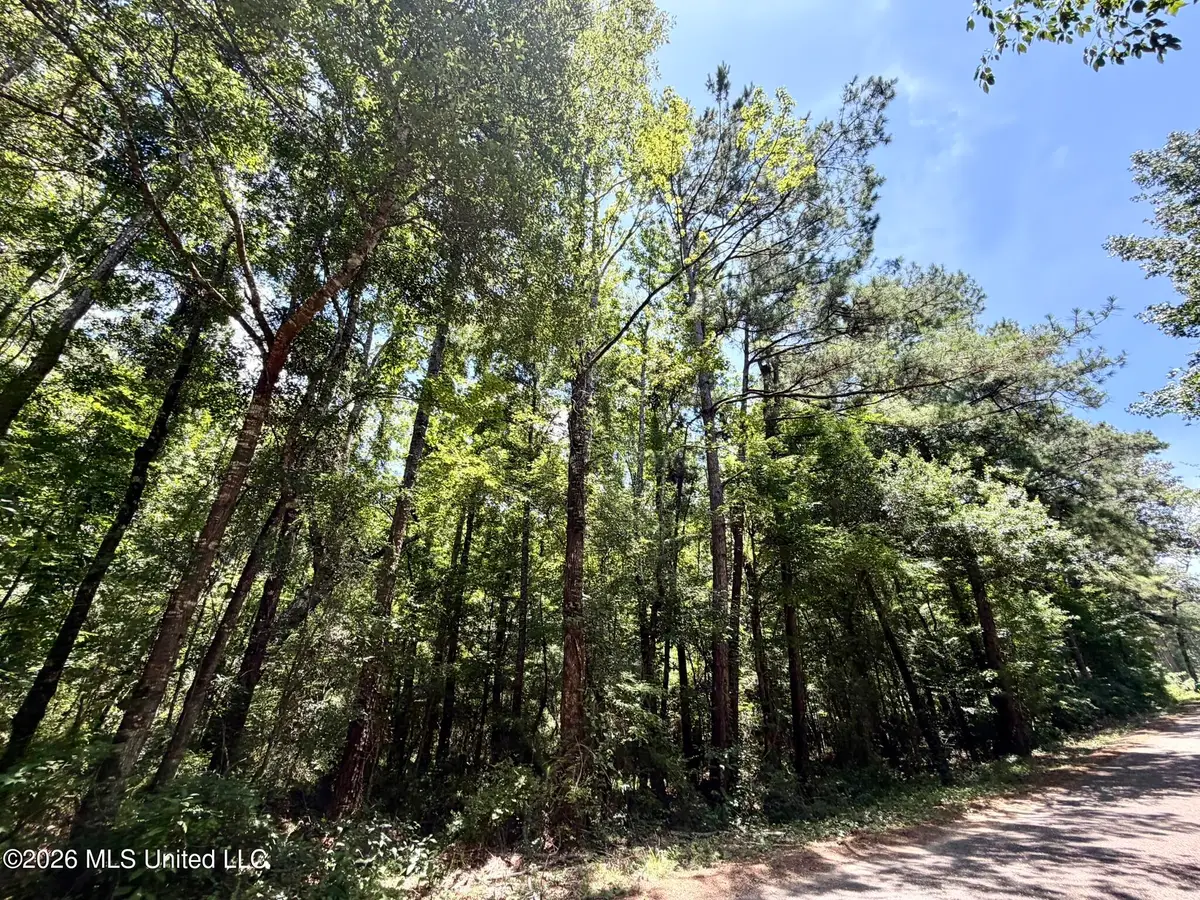 SW Linfrank Line Drive, Smithdale, MS 39664 - #1