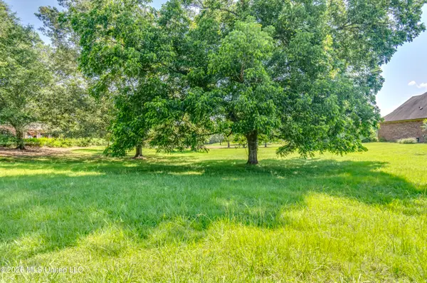 147 Southern Ridge Drive, Madison, MS 39110