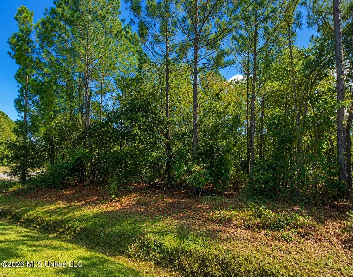 0 Polk Street, Waveland, MS 39520 - #1