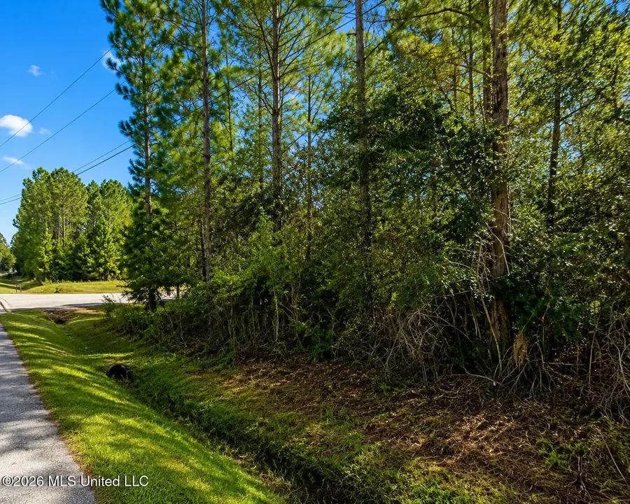 0 Polk Street, Waveland, MS 39520 - #3