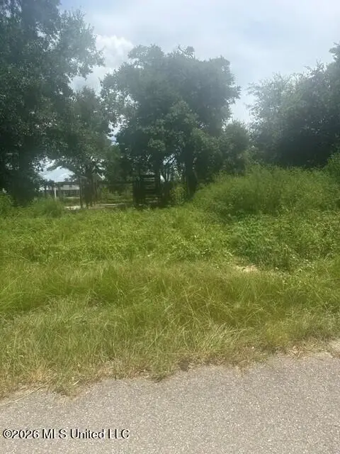 10028 E Bayou Road, Bay Saint Louis, MS 39520 - #2