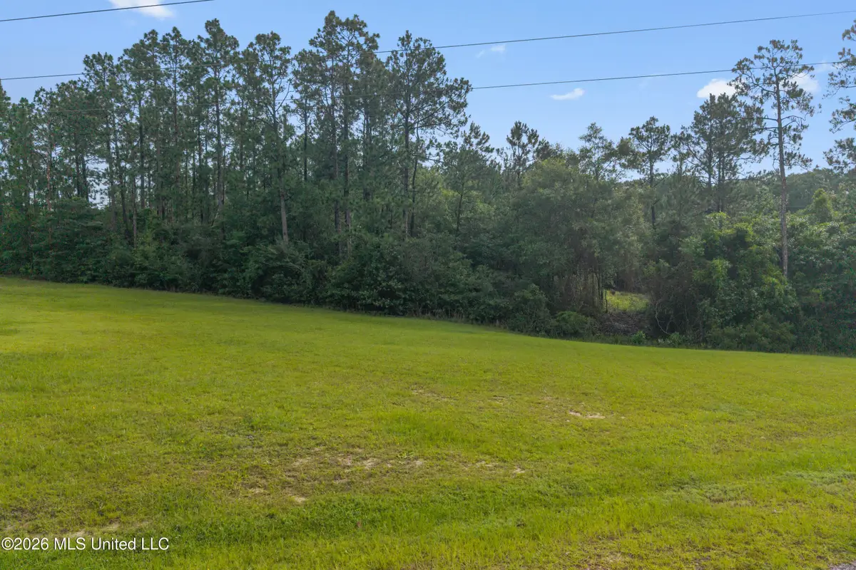 Spring Briar Trail, Saucier, MS 39574 - #1