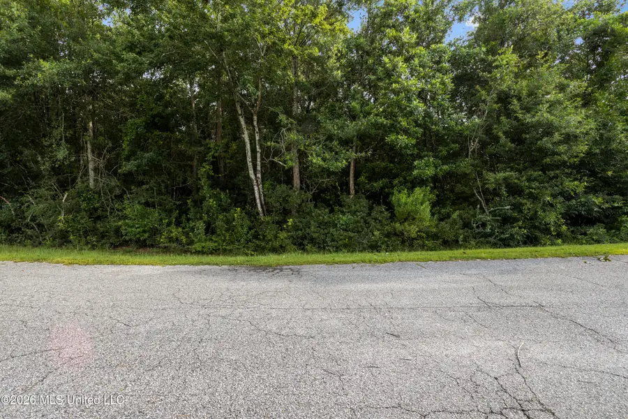 Spring Briar Trail, Saucier, MS 39574 - #2