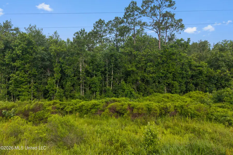 Spring Briar Trail, Saucier, MS 39574 - #3