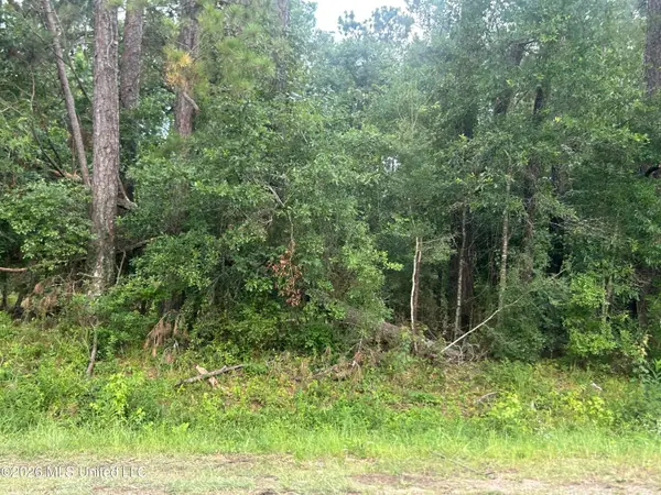 Tbd River Ridge Road, Summit, MS 39666