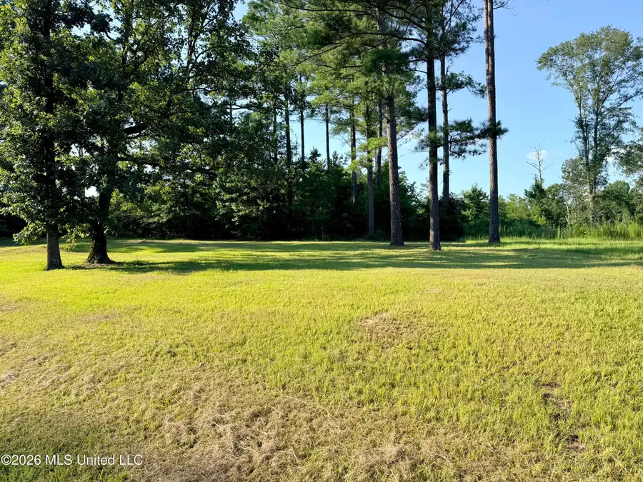 Lake Springwater Drive, Brandon, MS 39042 - #3