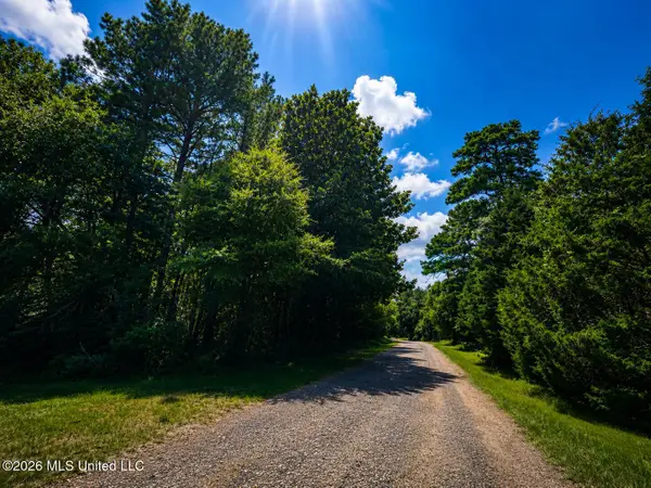 Shelton Cedar Road, Moselle, MS 39459