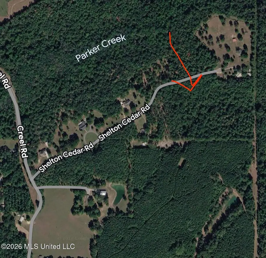 Shelton Cedar Road, Moselle, MS 39459 - #3