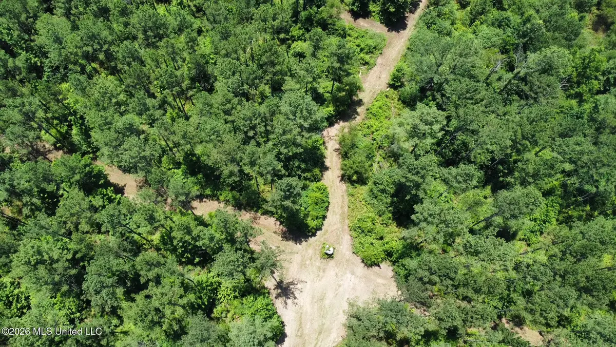 Hwy 43 Highway, Kosciusko, MS 39090 - #1