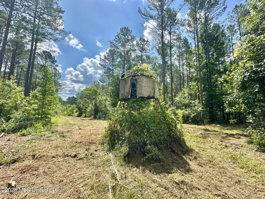 Hwy 43 Highway, Kosciusko, MS 39090 - #2