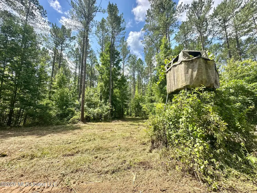 Hwy 43 Highway, Kosciusko, MS 39090 - #3