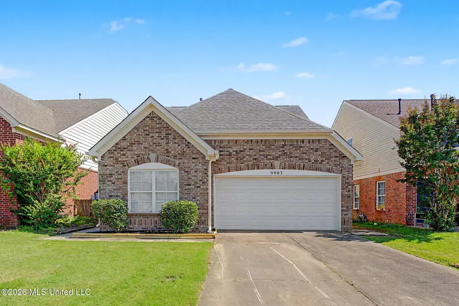 9903 White Poplar Drive, Olive Branch, MS 38654 - #2