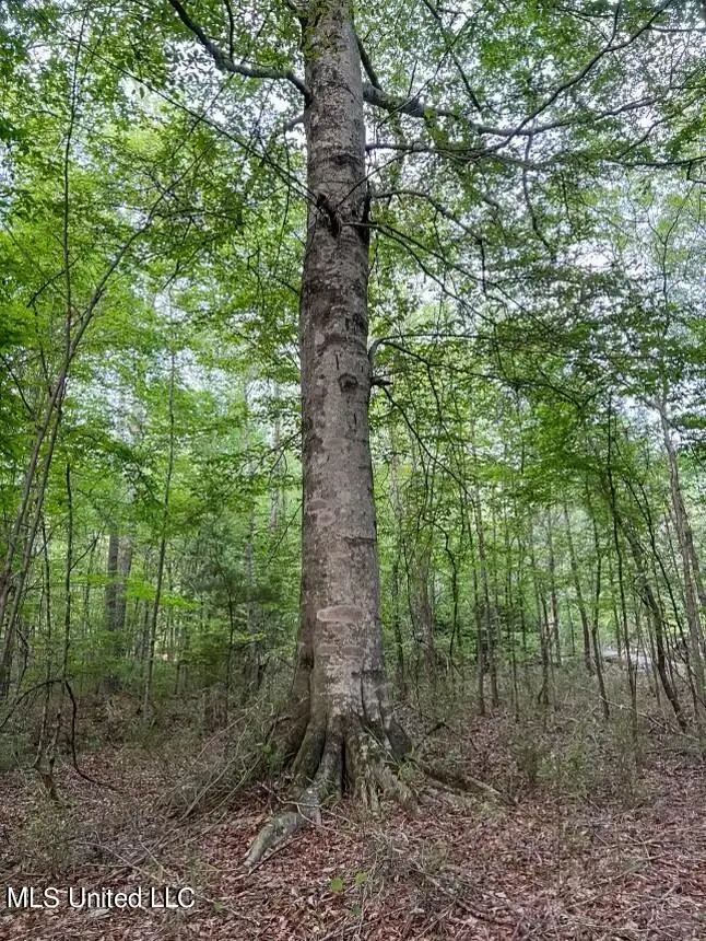 00 Ashley Road, Brandon, MS 39042 - #2