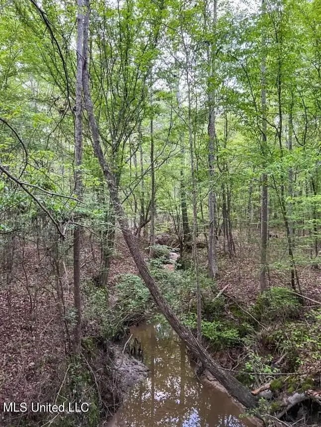 00 Ashley Road, Brandon, MS 39042 - #3
