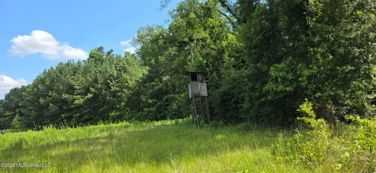 2046 Barto Leggett Road, McComb, MS 39648 - #1