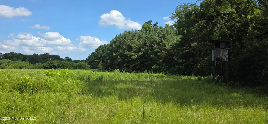 2046 Barto Leggett Road, McComb, MS 39648 - #3
