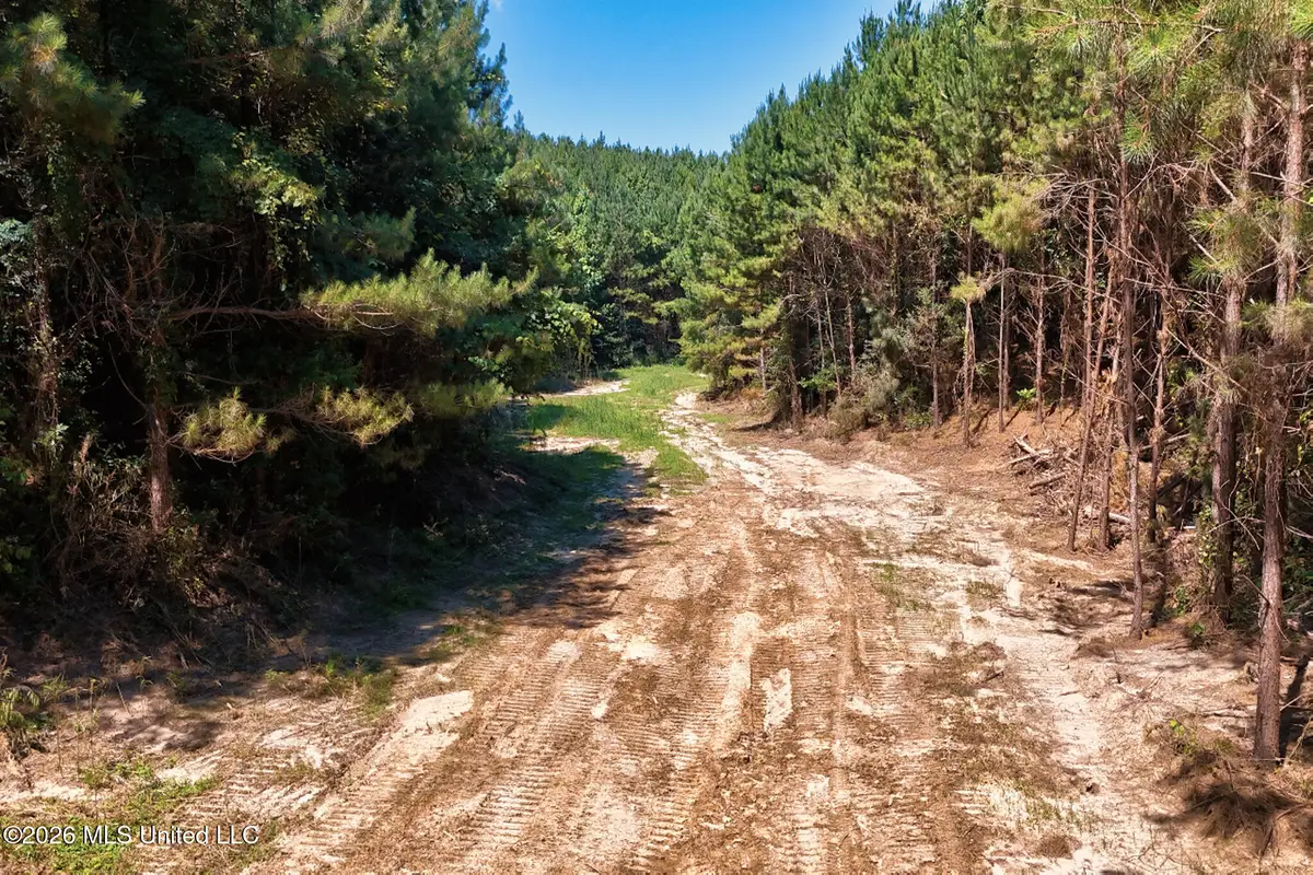 NW Ben Briggs Road, Roxie, MS 39661 - #1
