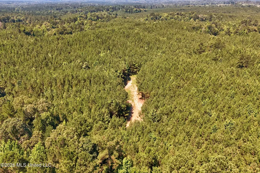 NW Ben Briggs Road, Roxie, MS 39661 - #3