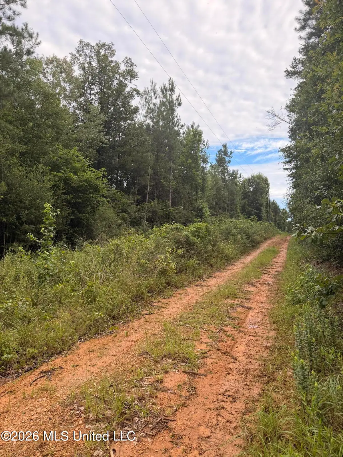 0000 Candy Lane, McComb, MS 39648 - #1