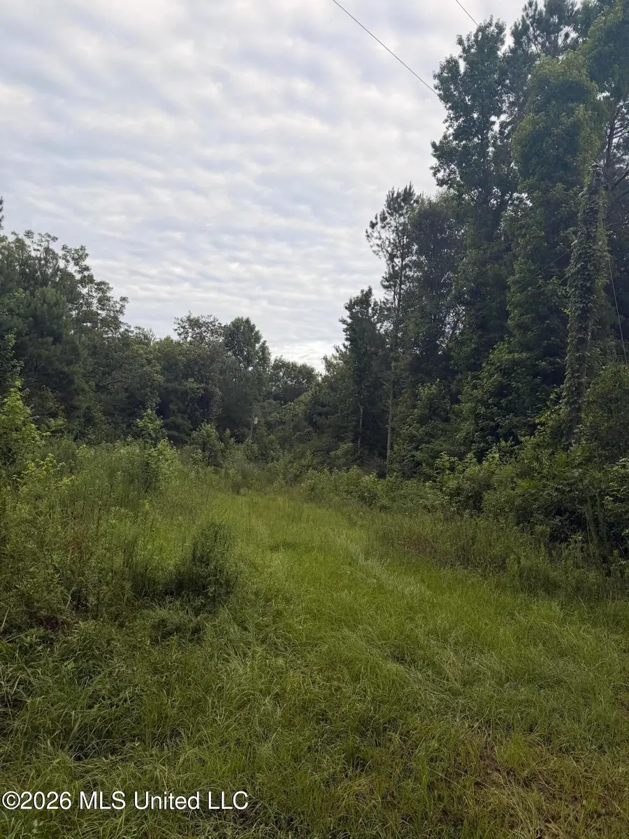 0000 Candy Lane, McComb, MS 39648 - #3