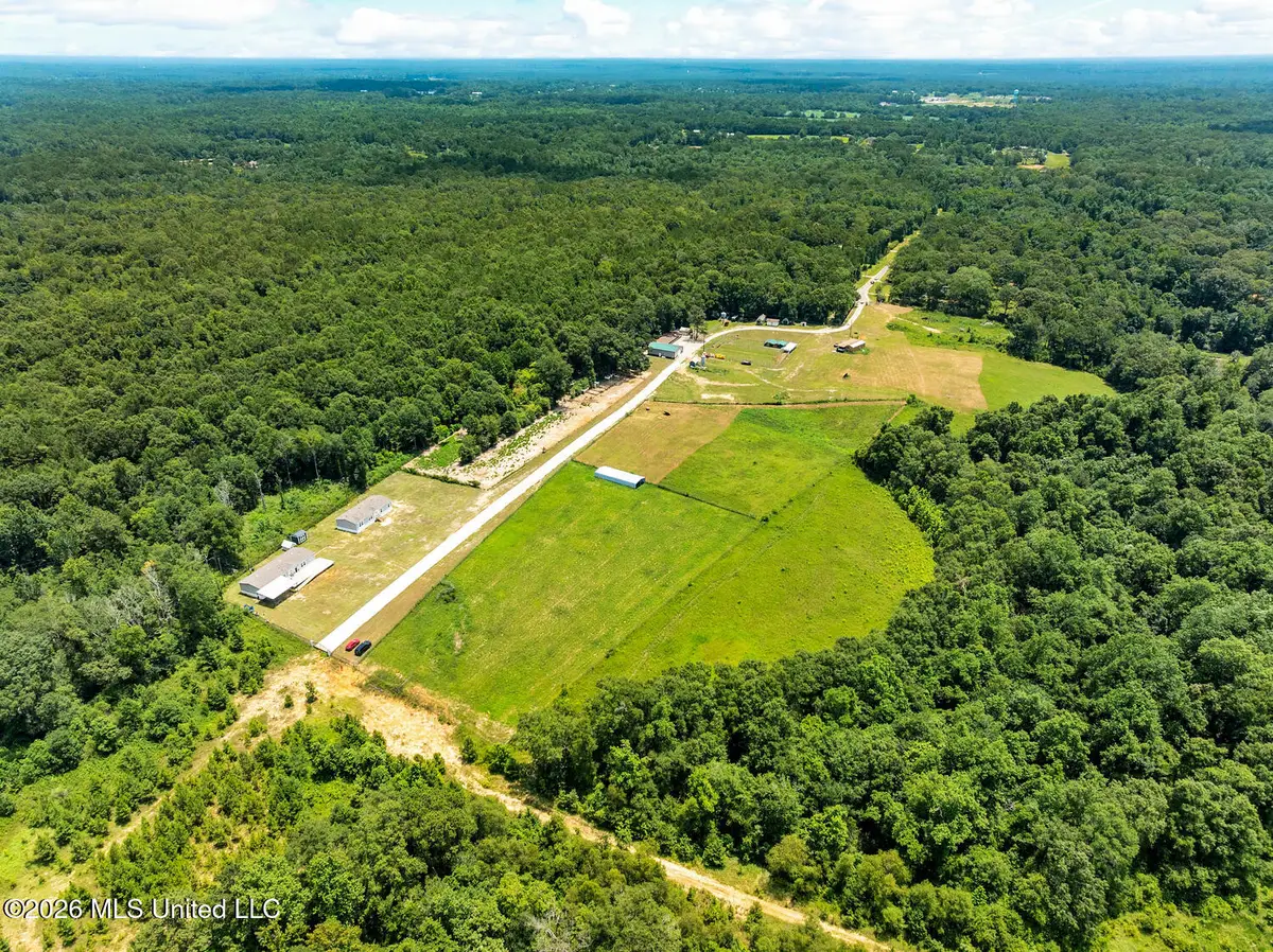 140 Sugar Creek Road, Carriere, MS 39426 - #1
