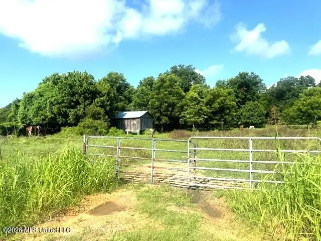 8274 Louisiana 566, Clayton, LA 71326 - #2