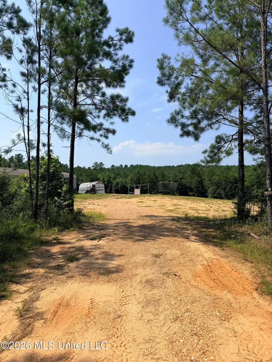 115 Calhoun Road, Mendenhall, MS 39114 - #2