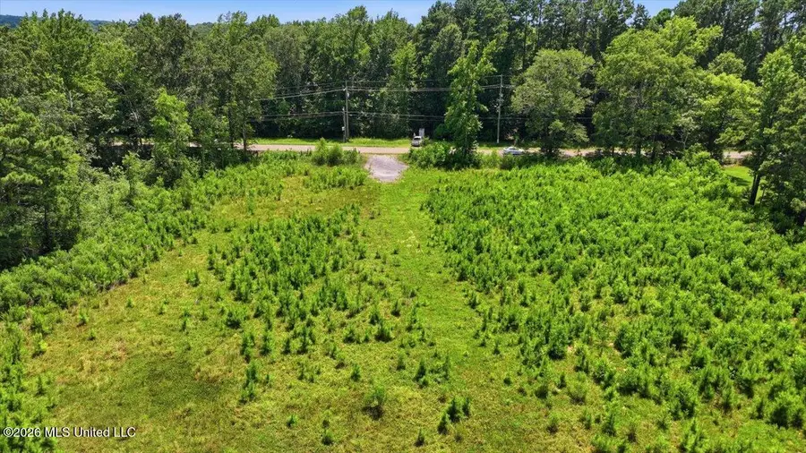 Luckney Road, Brandon, MS 39042 - #3