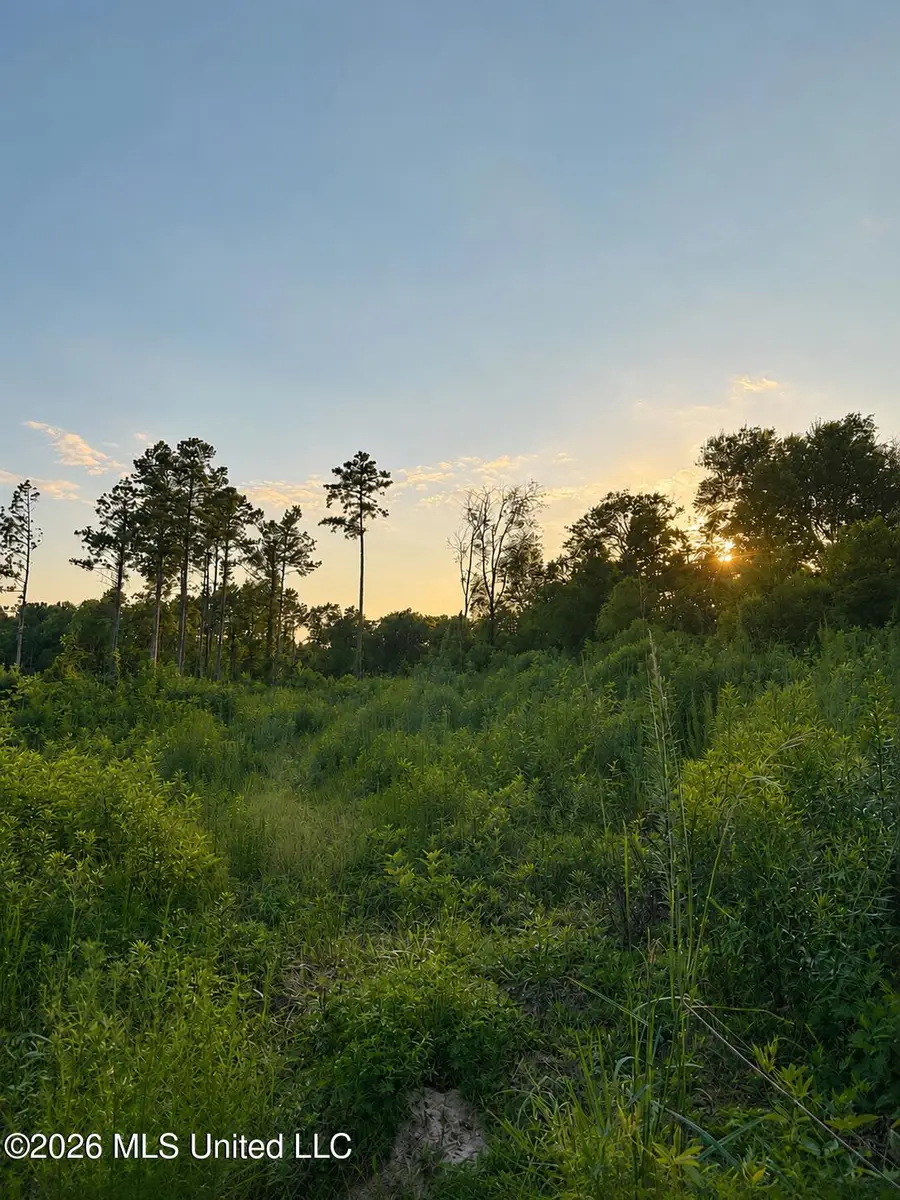 S C Road 77, Raleigh, MS 39153 - #2