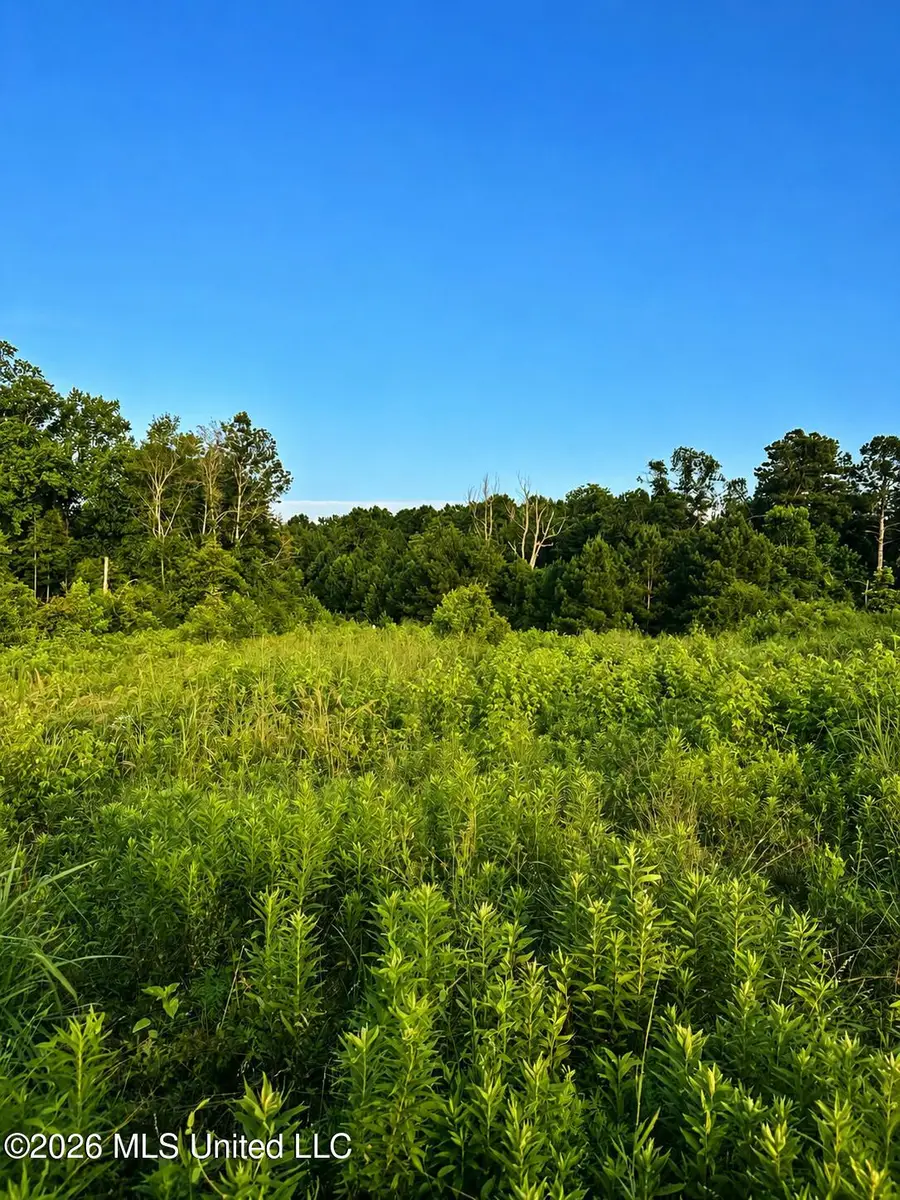 S C Road 77, Raleigh, MS 39153 - #3