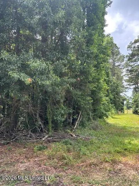 193 W Ms-48, Tylertown, MS 39667 - #2