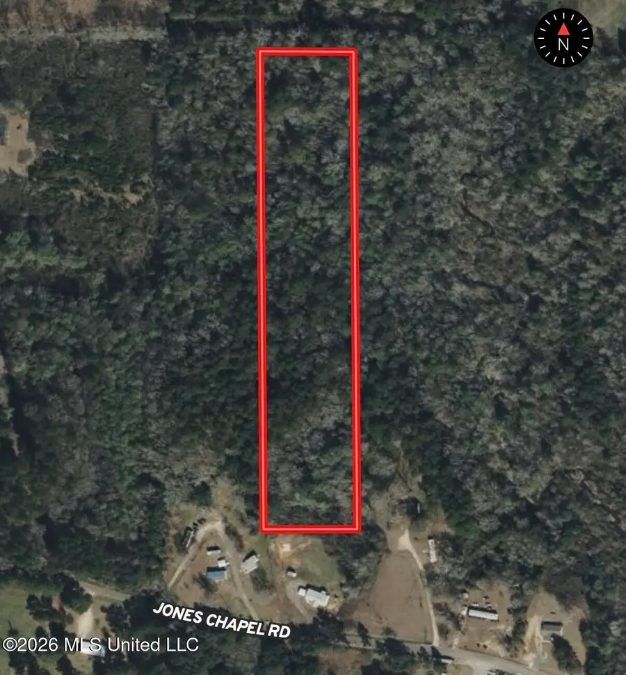 Jones Chapel Road, Collins, MS 39428 - #2