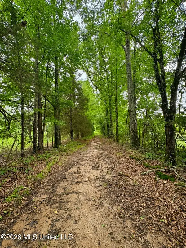 13610 Lebanon Pinegrove Road, Terry, MS 39170