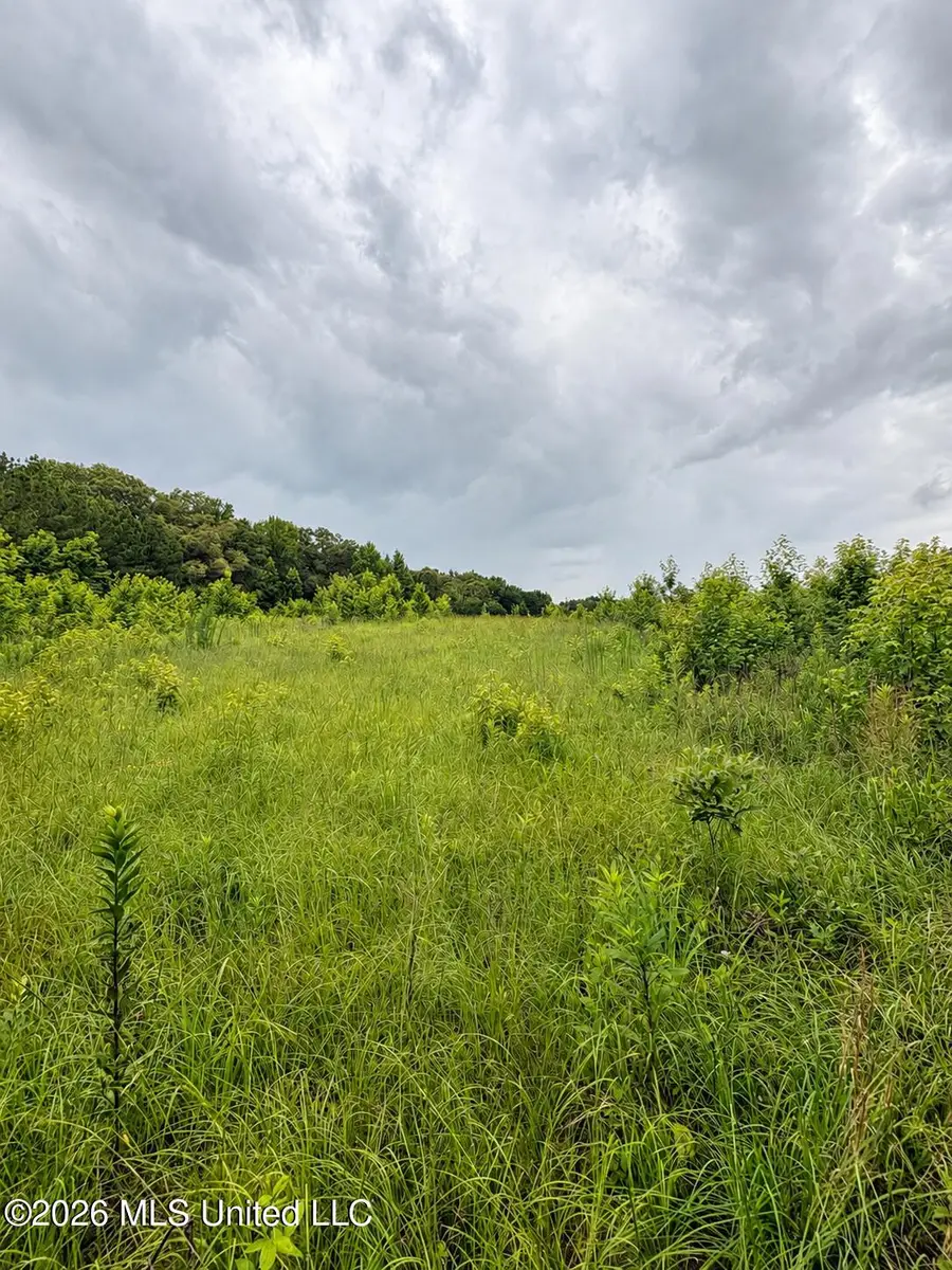 13610 Lebanon Pinegrove Road, Terry, MS 39170 - #3