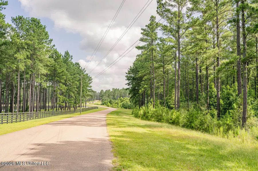 Walden Way, Hattiesburg, MS 39402 - #3