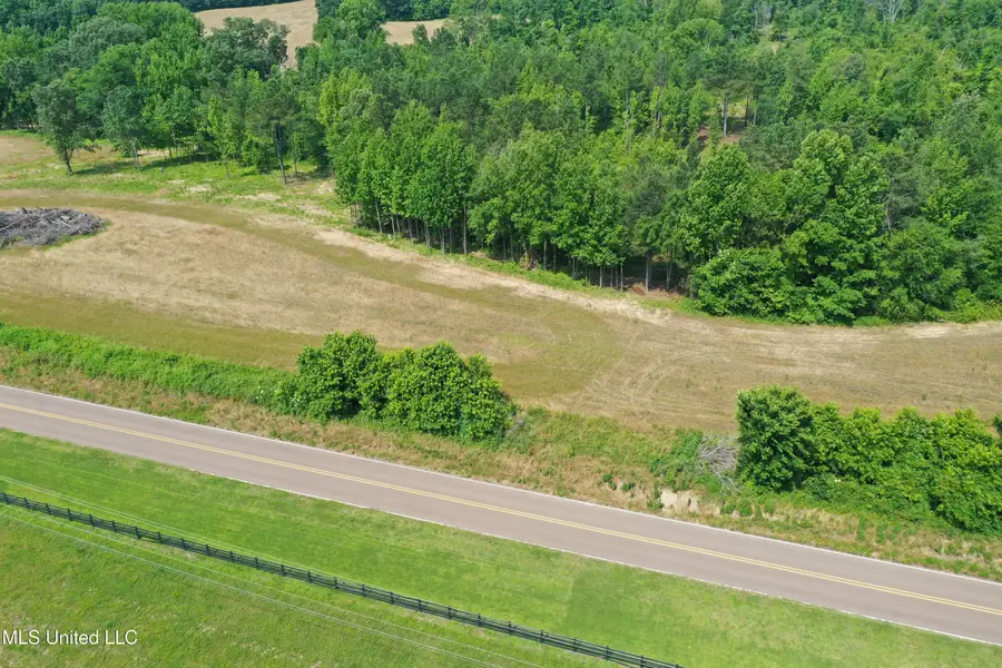 0 Baldwin Road, Lake Cormorant, MS 38641 - #2